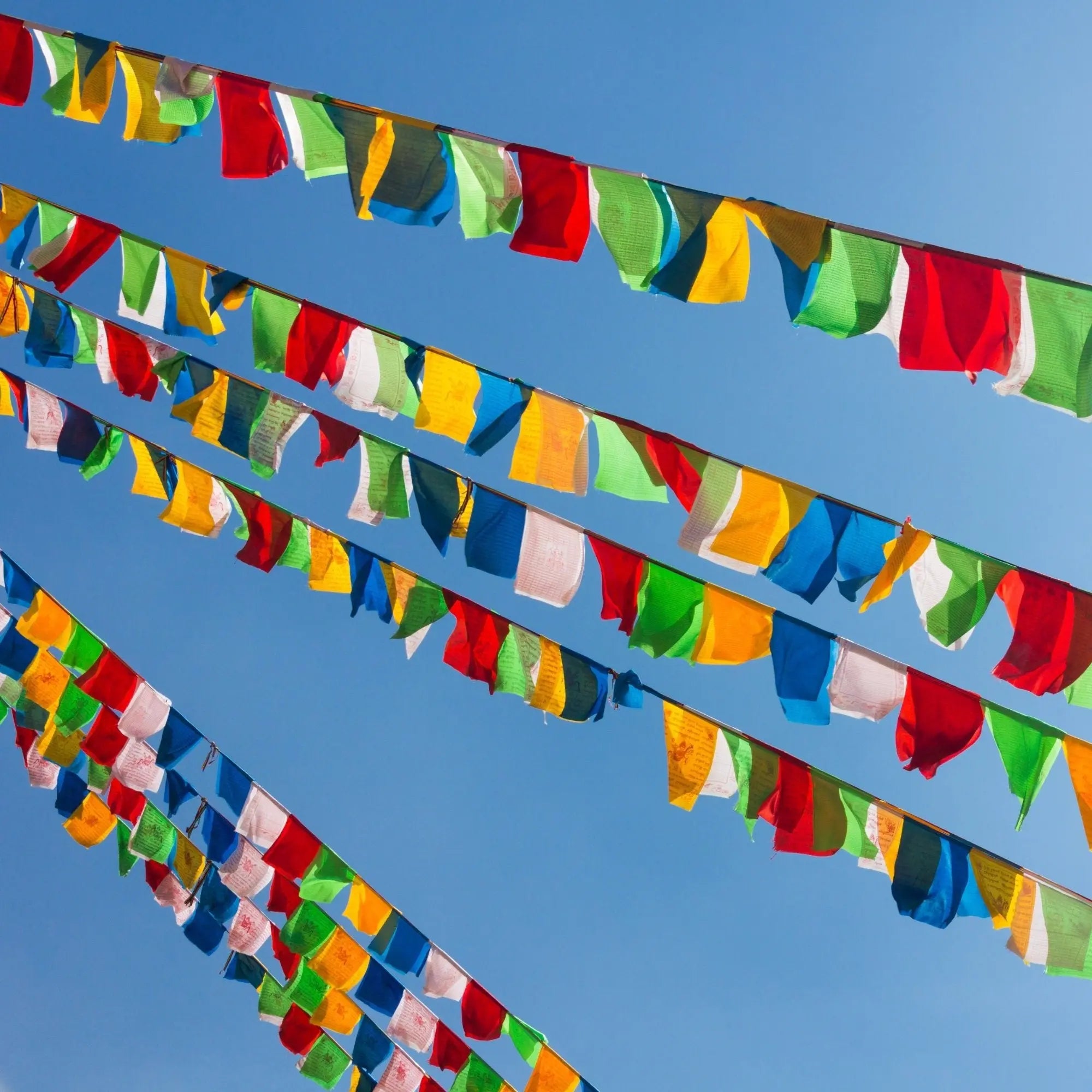 Tibetan Prayer Flags English - Handprinted in Nepal Wind Horse Cotton Flag Affirmation (10-Flags) - Himalayan Bazaar